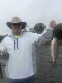 Mount Pleasant Report Photo 2