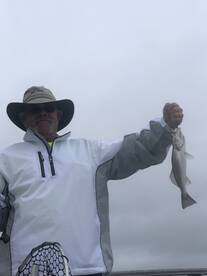 Mount Pleasant Report Photo 1