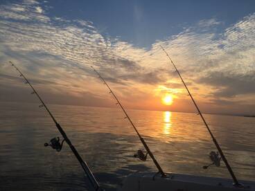 27/12/2018  December in Marbella