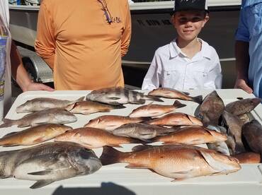 Bay Pines Report Photo 1