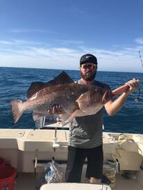 Fat Firetruck Red Grouper for December t