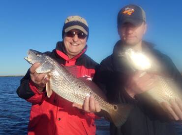 Reds have been good!