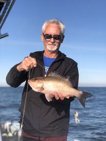 Orange Beach Report Photo 1