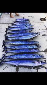 Pompano Beach Report Photo 1