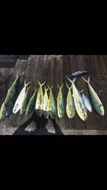 Pompano Beach Report Photo 2