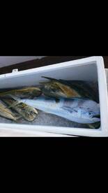 Pompano Beach Report Photo 1