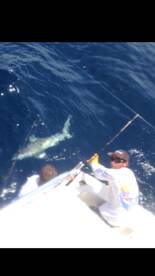 Pompano Beach Report Photo 2