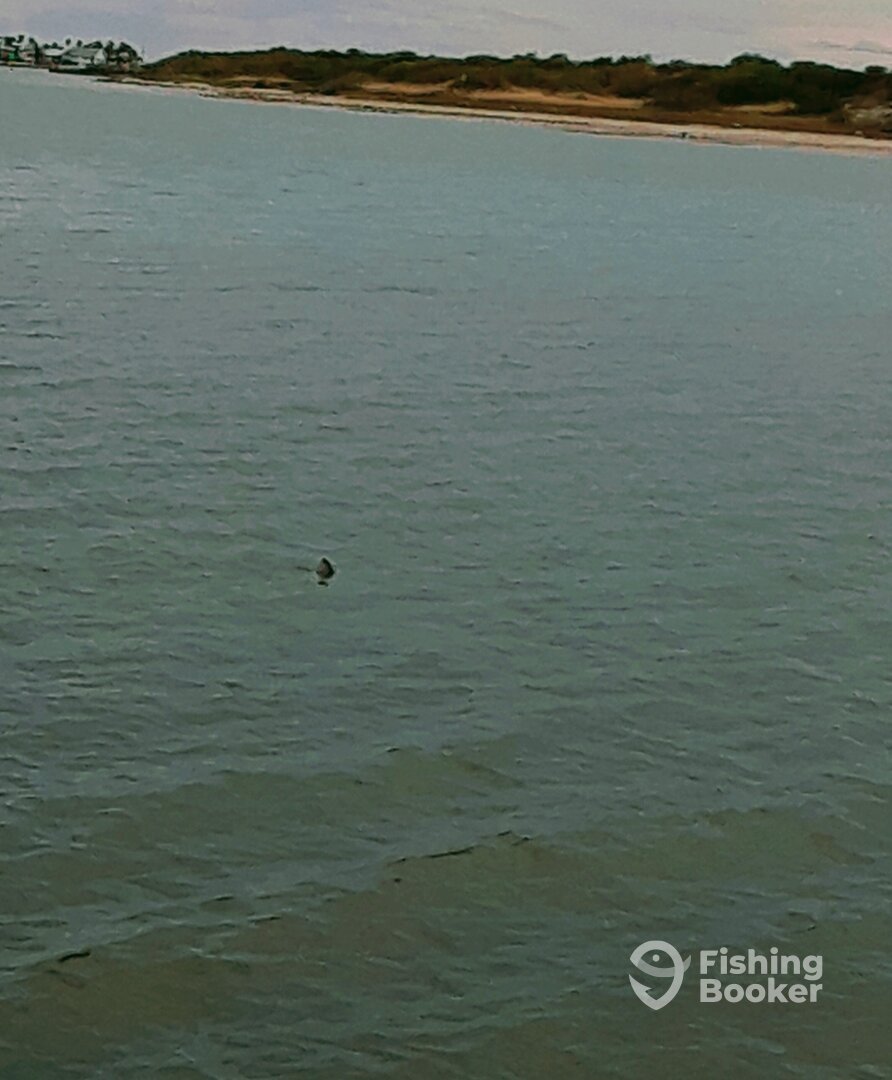 Port Aransas Report Photo 0