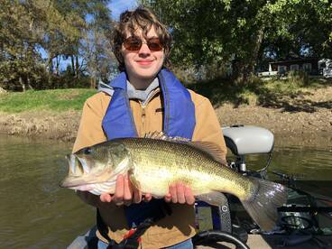 Harding Report Photo 2