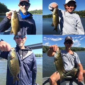 Harding Report Photo 4