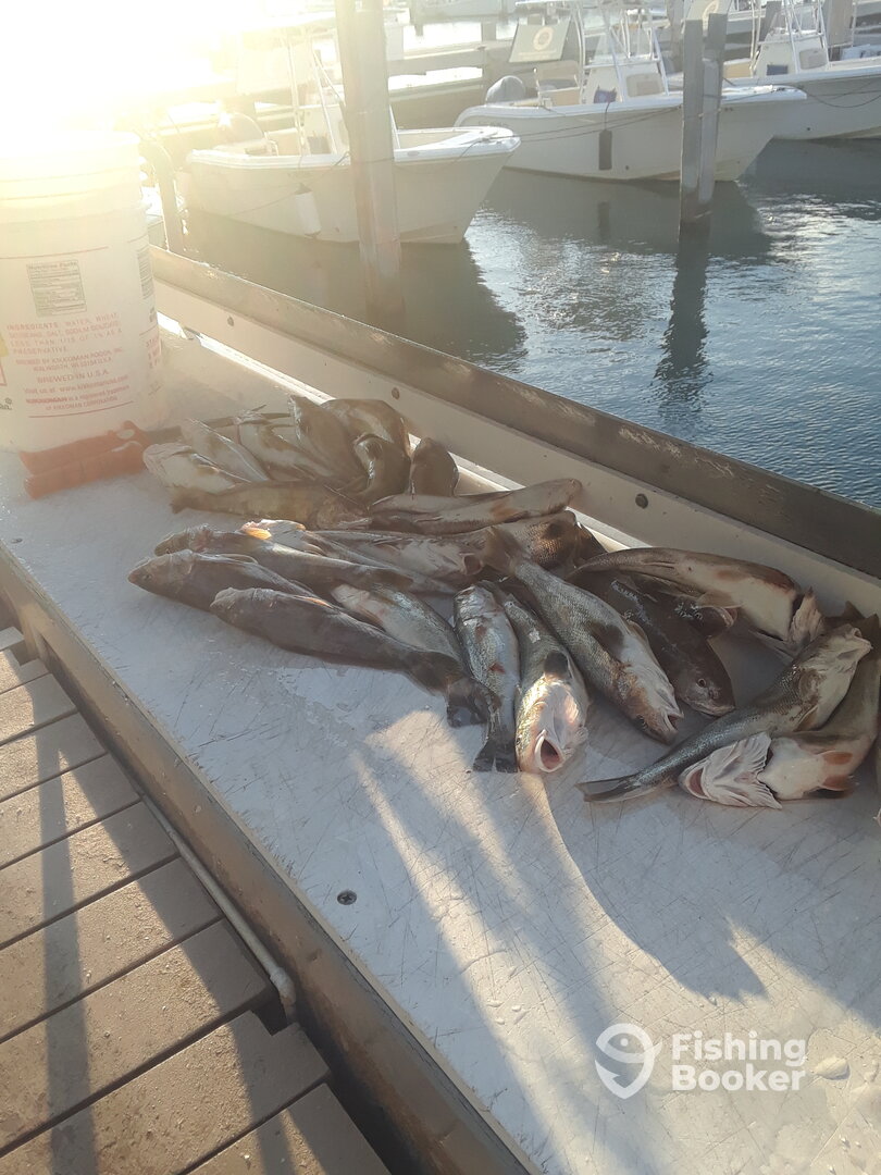 Port Canaveral Report Photo 0