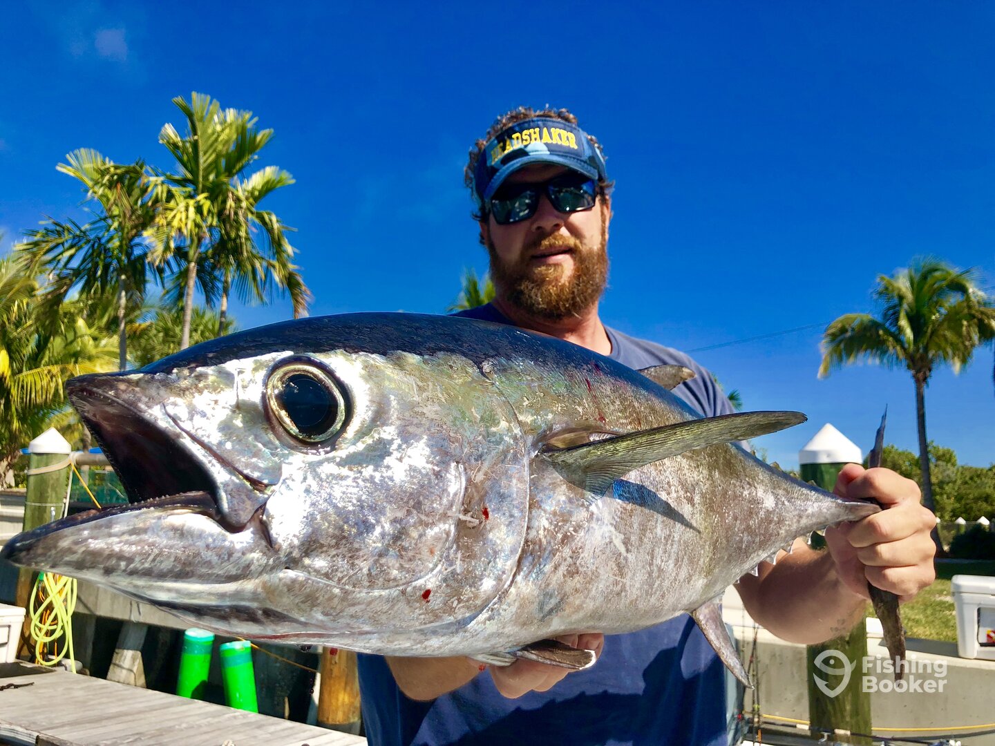 Islamorada Report Photo 0