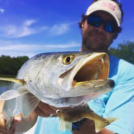 Islamorada Report Photo 2