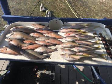 Marathon Report Photo 2