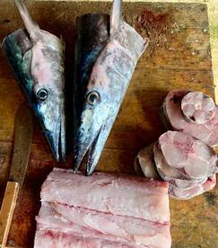 Puerto Aventuras Report Photo 1