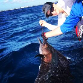 Sailfish Goes Off! Wahoo with full moon!