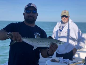 BIG FISH ARE HERE