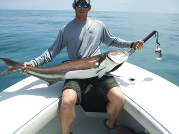 Hot live bait bite.