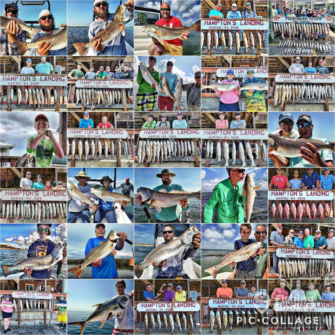 Aransas Pass Report Photo 0