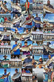 Aransas Pass Report Photo 1