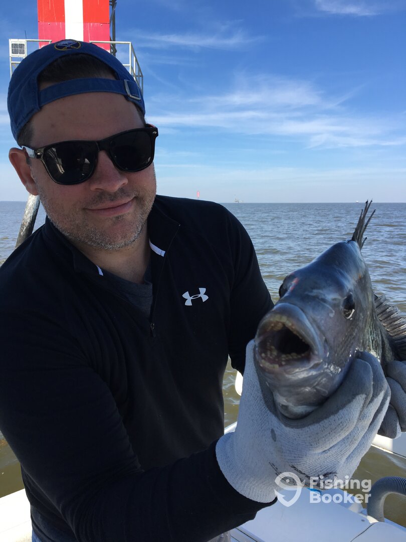 Fairhope Report Photo 0