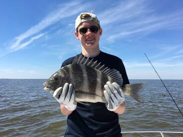 Fairhope Report Photo 2