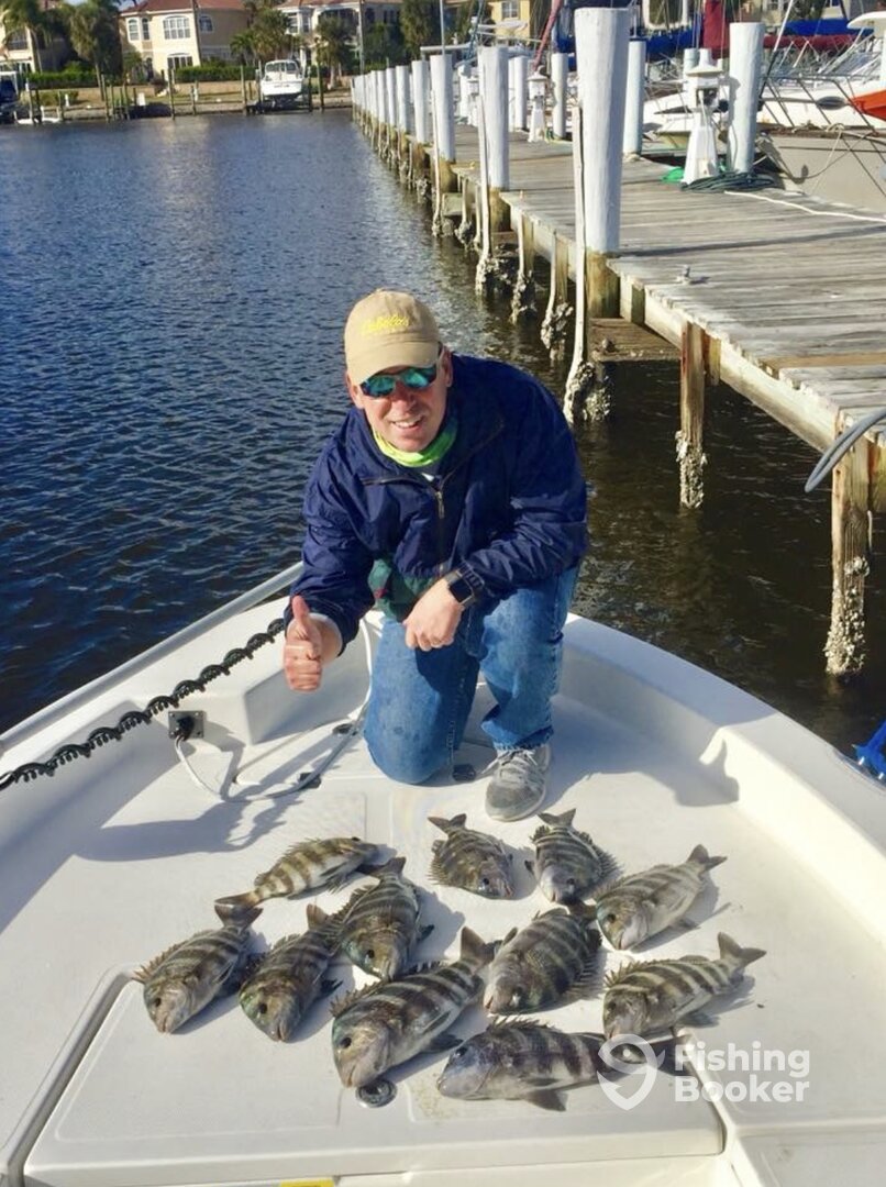 Punta Gorda Report Photo 0