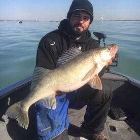  GIANT SPRING WALLEYE DETROIT RIVER