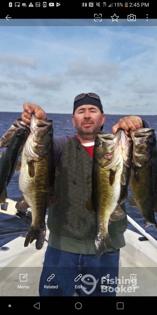 Tarpon Springs Report Photo 0