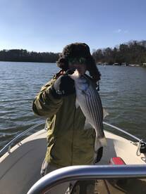 Cumming Report Photo 2