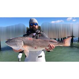 Inshore Reds and Drum are on FIRE