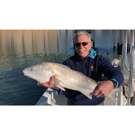 Sarasota Report Photo 1