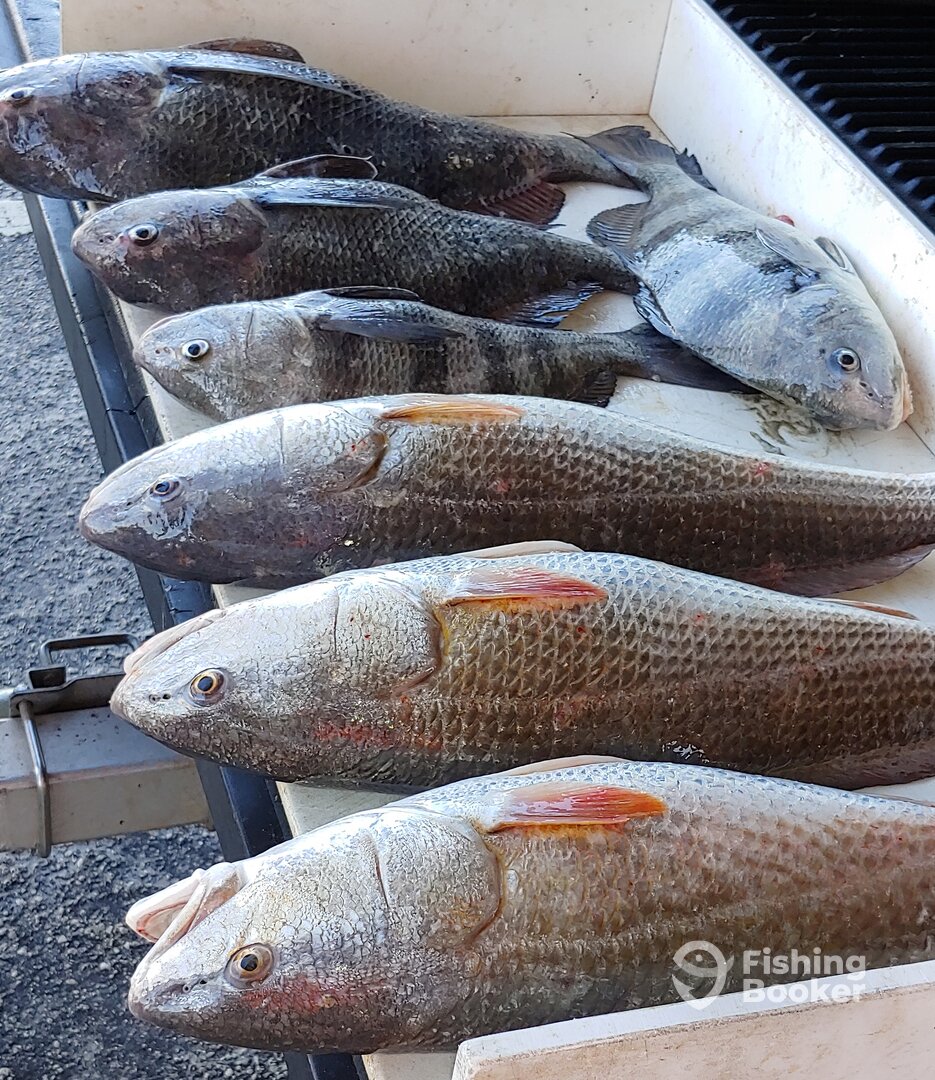 Port Orange Report Photo 0