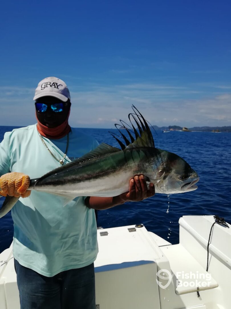 Quepos Report Photo 0