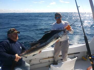 Fort Lauderdale Report Photo 2
