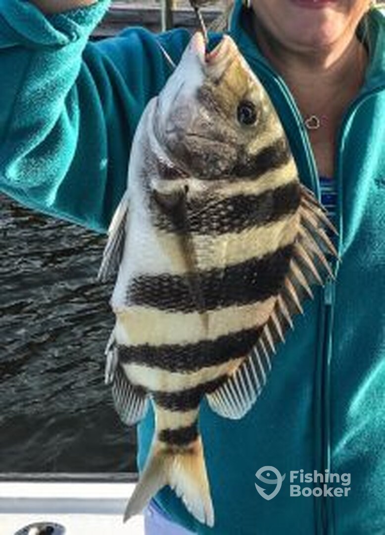 Destin Report Photo 0