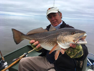 When the Big Reds Bite. 