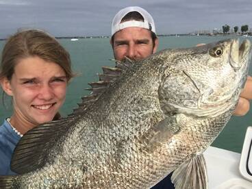 Sarasota Report Photo 1