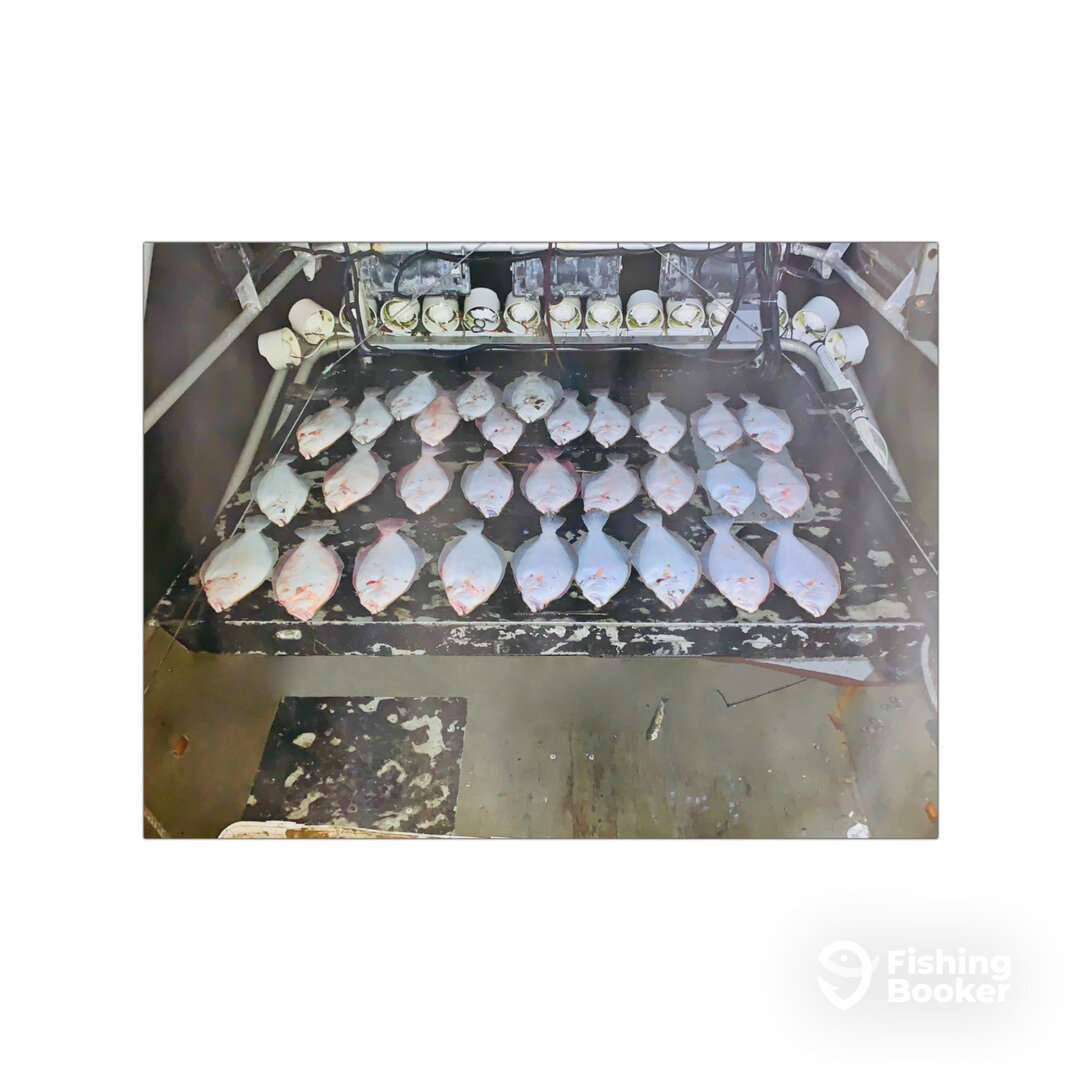 Aransas Pass Report Photo 0
