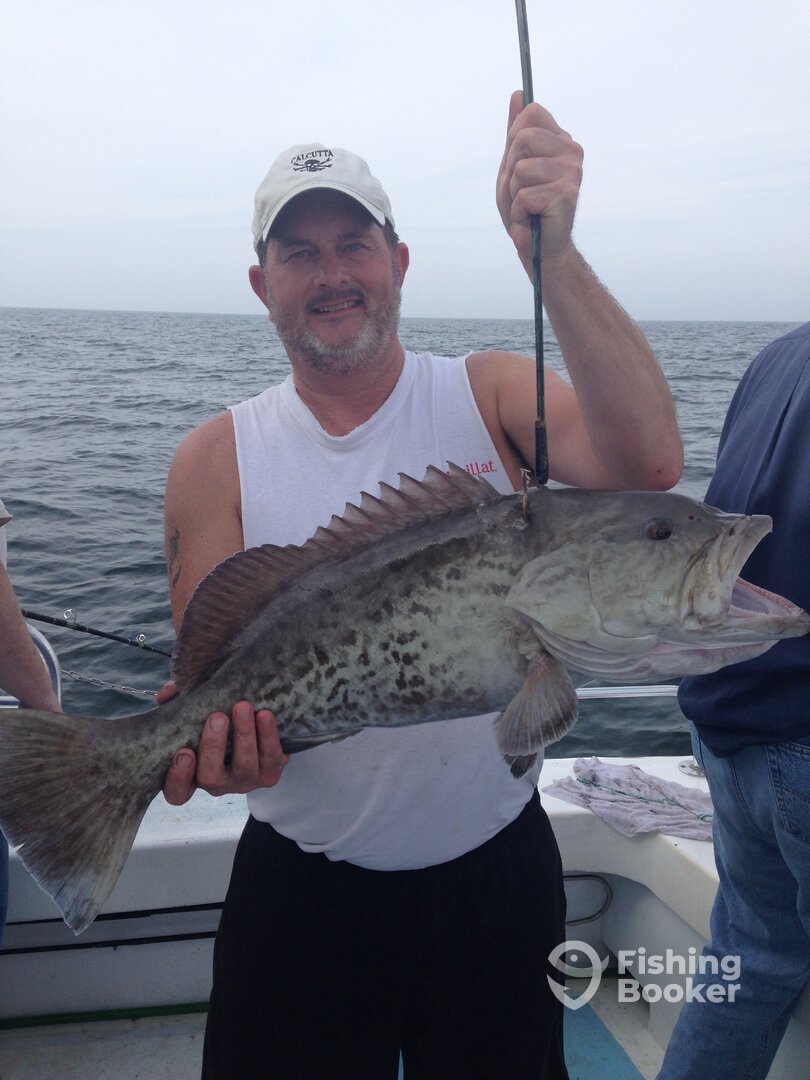 Orange Beach Report Photo 0