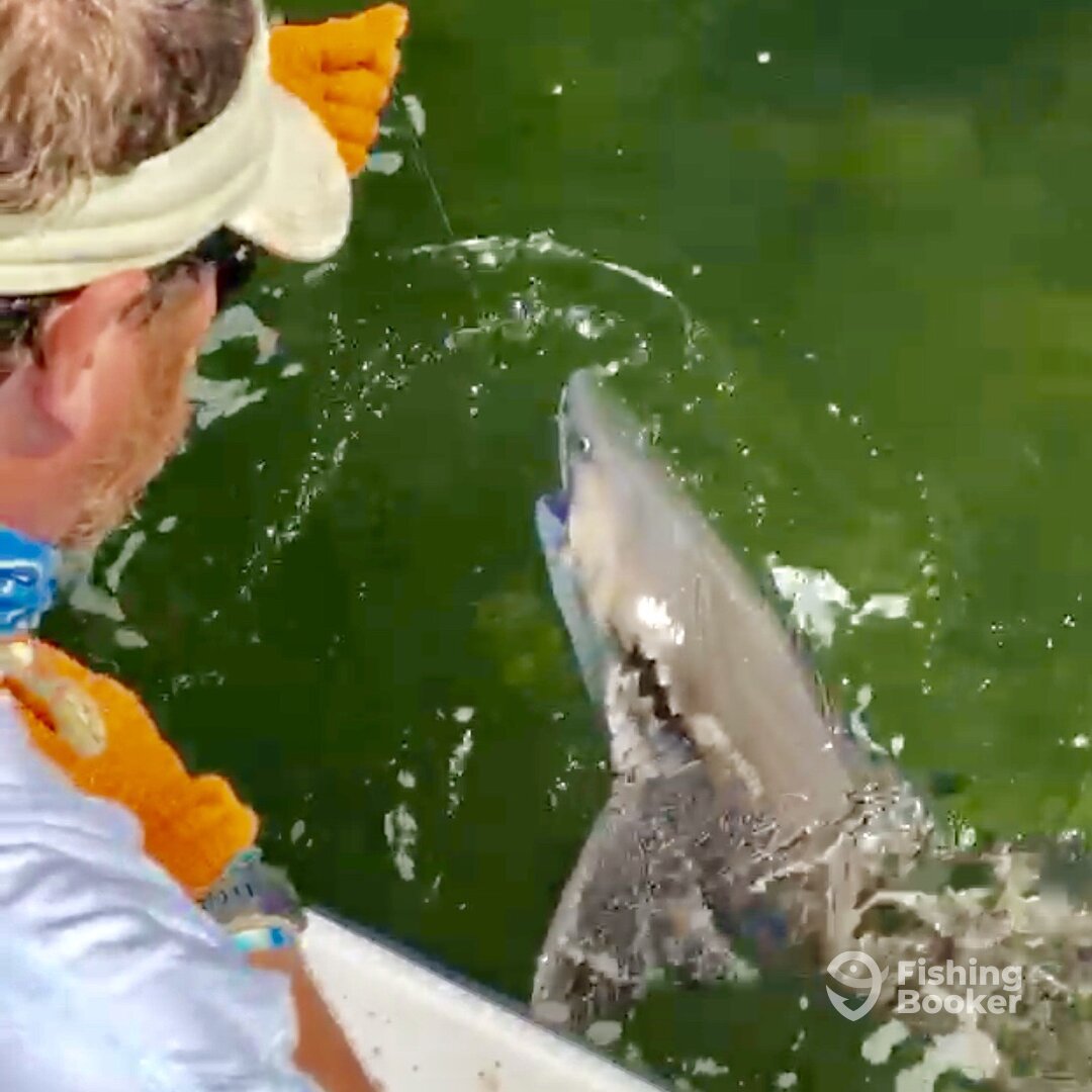 Islamorada Report Photo 0