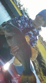 Get your PB Large mouth bass today