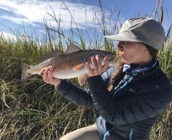 Mount Pleasant Report Photo 2