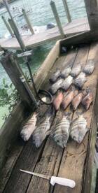 Spring is in the air!