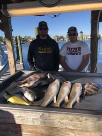 Spring time is coming!