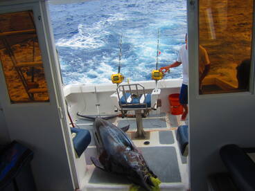 Le Morne Report Photo 1