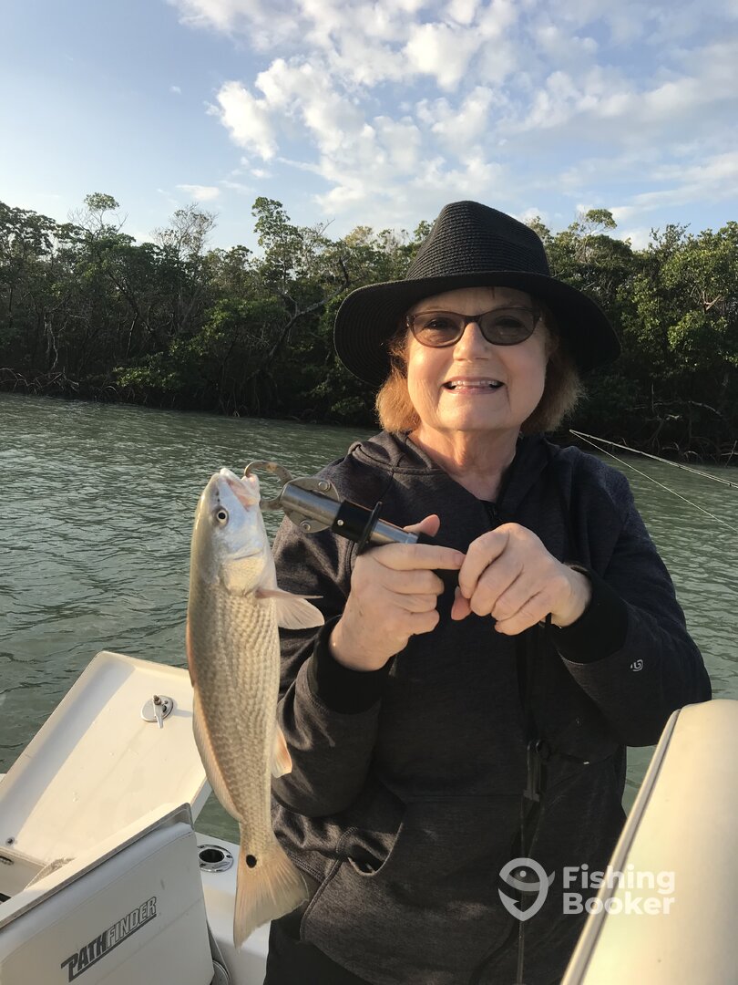 Marco Island Report Photo 0