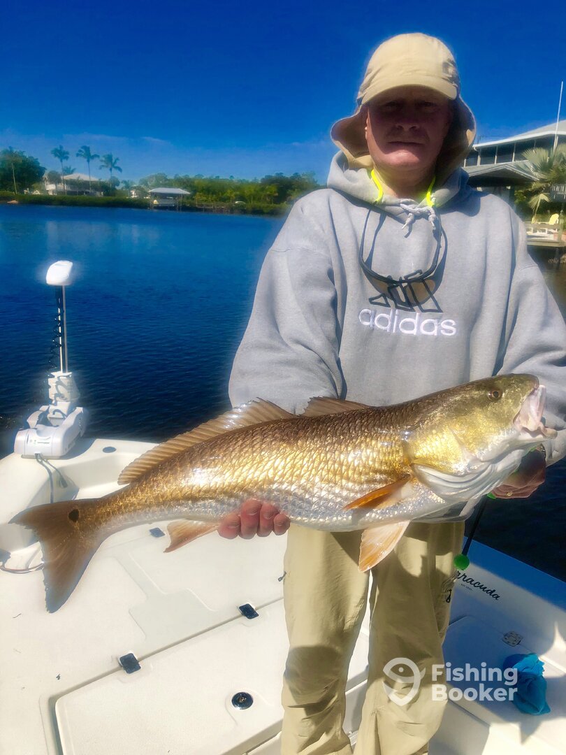 Punta Gorda Report Photo 0