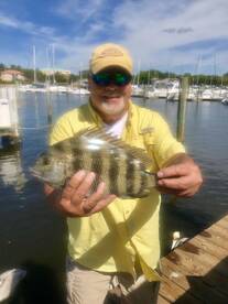 Punta Gorda Report Photo 1