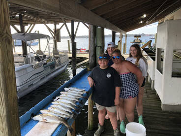 Crystal River Report Photo 1